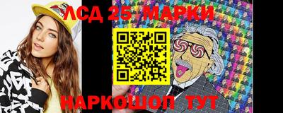 гидропоника Будённовск