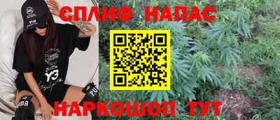 СК Волгодонск