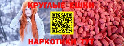 СК Волгодонск