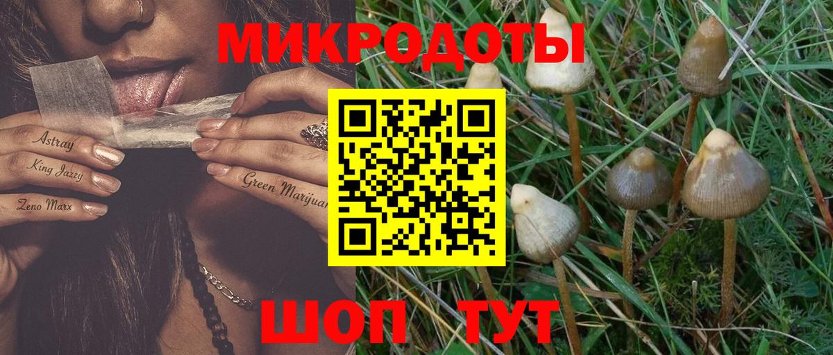 Псилоцибиновые грибы GOLDEN TEACHER  Псилоцибиновые грибы Magic Shrooms  Люберцы  Вход с VPN 