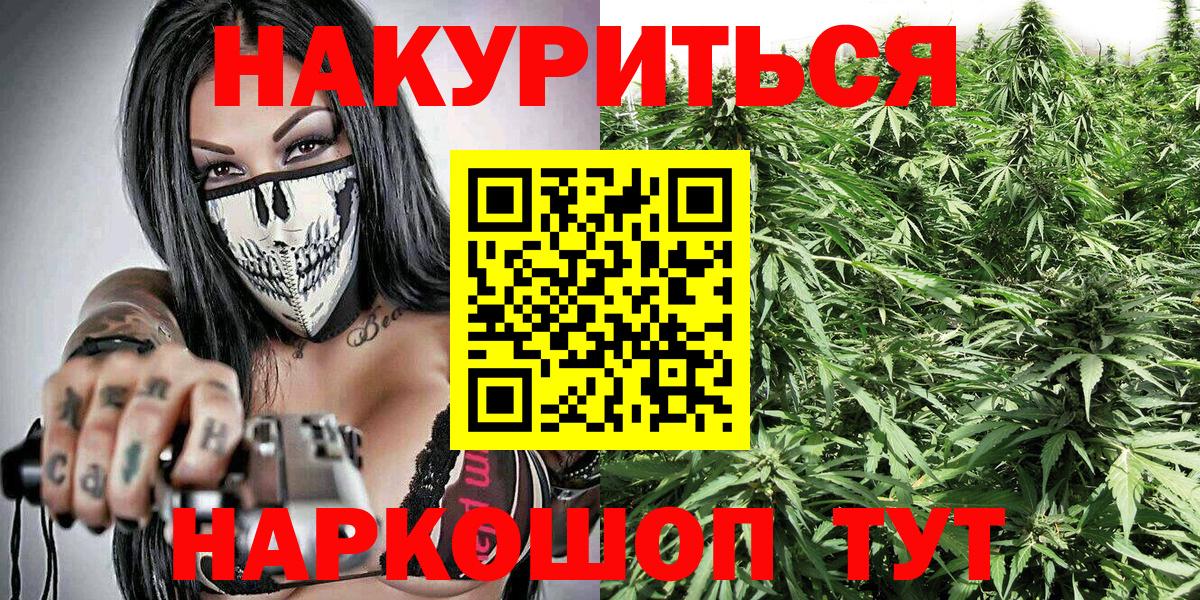 Канабис гибрид Люберцы